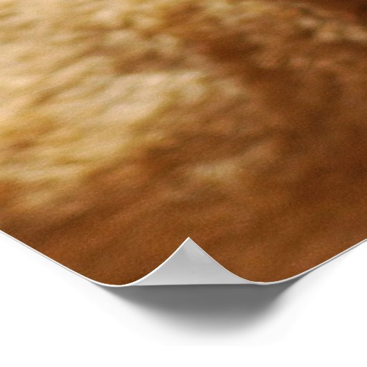 かわいいライオンの顔 ポスター (角)