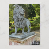 かわいいライオン、シントラポルトガル写真旅行 シーズンポストカード (正面)