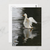 かわいいライジングアヒルDIYはがき ポストカード (正面/裏面)