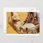 かわいいラクダ ポストカード (正面/裏面)