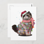 かわいいラグドール猫好きおもしろいクリスマスホリデーギフト ポストカード (正面/裏面)
