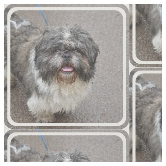 かわいいラサApso ファブリック (クローズアップ)