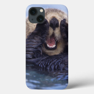 かわいいラッコ アラスカ、米国 iPhone 13ケース
