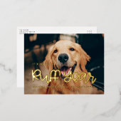 かわいいラフイヤードッグ写真 箔シーズンポストカード (正面/裏面)