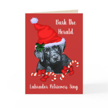 かわいいラブラドル・レトリーバー犬のクリスマス