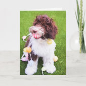 かわいいラブラドールイースターエッグ狩りカード シーズンカード (正面)