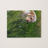 かわいいラブラドールパピイングラス ジグソーパズル (横)