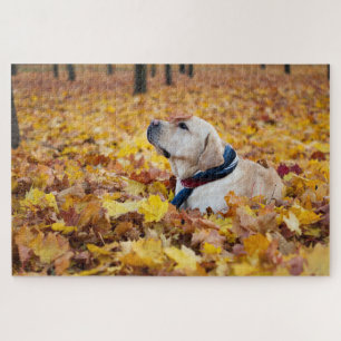 かわいいラブラドール犬イン紅葉 ジグソーパズル