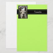 かわいいラマのパーソナライズな文房具 便箋 (正面/裏面)