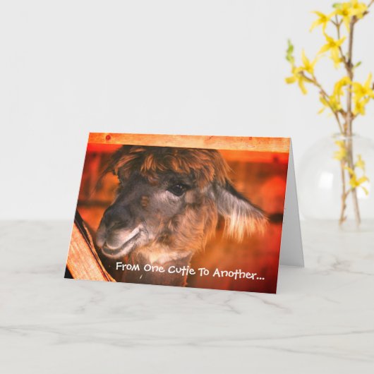 かわいいラマユーモアのある動物誕生日  カード (黄色い花)