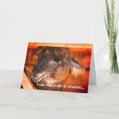 かわいいラマユーモアのある動物誕生日  カード (正面)