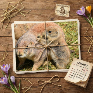 かわいいリアルなグラウンドホッグの家族の写真 ポストカード