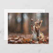 かわいいリスがドングリを捕まえる ポストカード (正面/裏面)