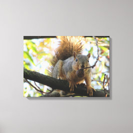 かわいいリスがナッツを持った写真 キャンバスアート