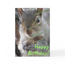 かわいいリスがピーナッツのハッピーバースデーを掘った