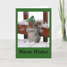 かわいいリスが折り畳まれたグリーンのホリデーカード