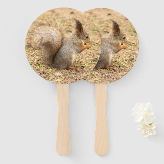 かわいいリスが木の実を食べる写真 ハンドファン (正面&裏面)