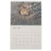 かわいいリスとキツネおもしろいの動物の写真 カレンダー (3月 2027)