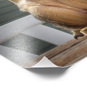 かわいいリスとナット3 フォトプリント            (角)