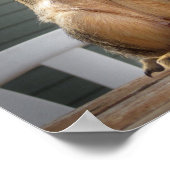 かわいいリスとナット3 ポスター (角)