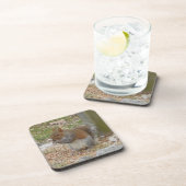 かわいいリスのコースターセット。 コースター (右側)