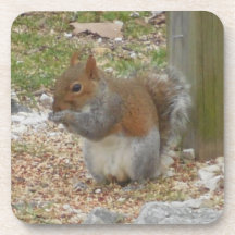 かわいいリスのコースターセット。