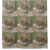 かわいいリスのシャワーカーテン シャワーカーテン (正面)