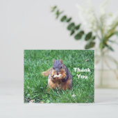 かわいいリスのピーナッツの写真ありがとう ポストカード (スタンド正面)