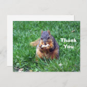 かわいいリスのピーナッツの写真ありがとう ポストカード (正面/裏面)