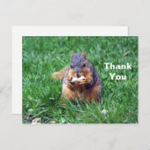 かわいいリスのピーナッツ写真ありがとう ポストカード (正面/裏面)