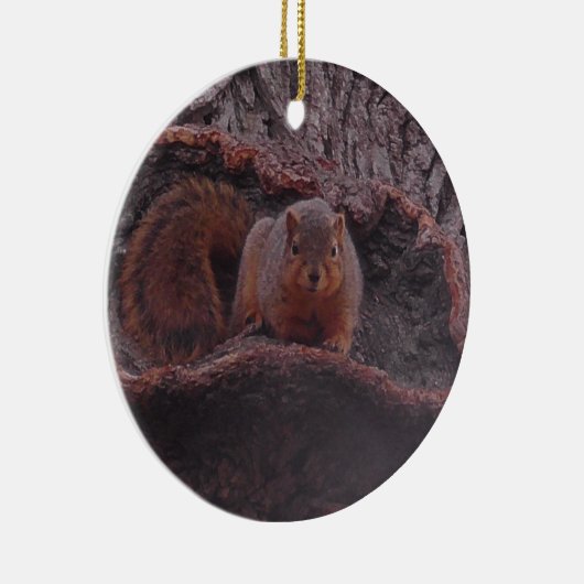 かわいいリスの写真パーソナライズされた セラミックオーナメント (右)