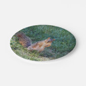 かわいいリスの写真 ペーパープレート (アングル)