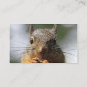 かわいいリスの微笑の写真 名刺 (裏面)