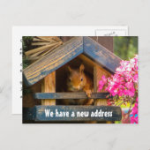 かわいいリスの新しいホームアドレスが移動 案内ポストカード (正面/裏面)