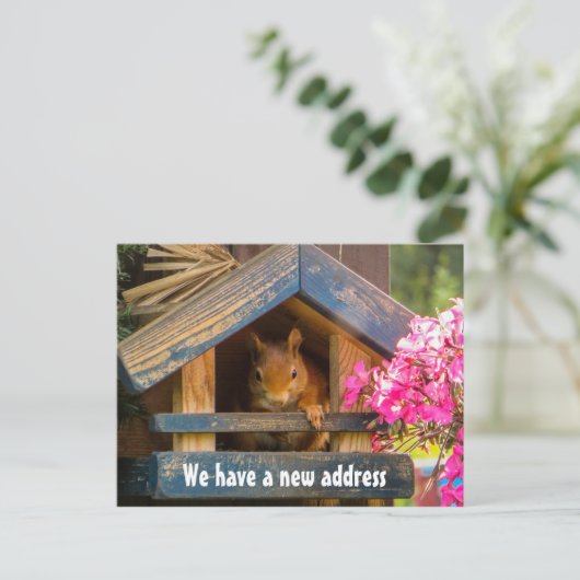 かわいいリスの新しいホームアドレスが移動 案内ポストカード (スタンド正面)