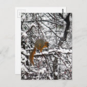 かわいいリスの雪の木 ポストカード (正面/裏面)