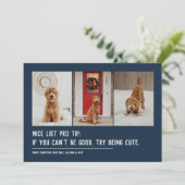 かわいいリスト 面白いペット 3枚の写真 ネイビー クリスマス (スタンド正面)