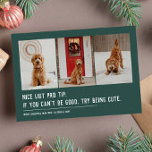 かわいいリスト 面白いペット 3枚の写真 緑のクリスマス シーズンカード