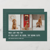 かわいいリスト 面白いペット 3枚の写真 緑のクリスマス シーズンカード (正面/裏面)