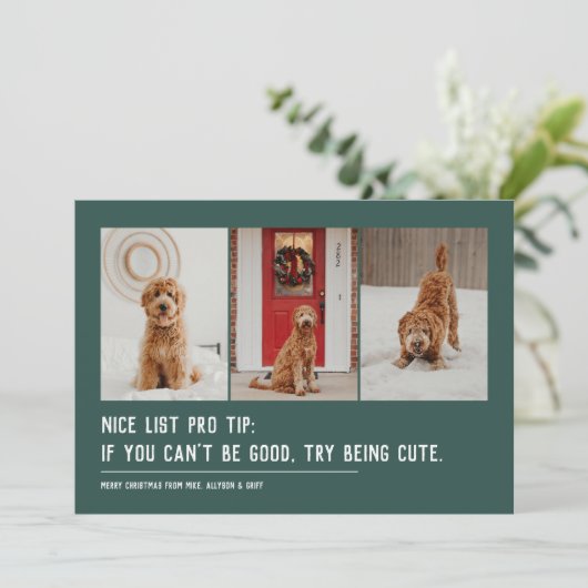 かわいいリスト 面白いペット 3枚の写真 緑のクリスマス シーズンカード (スタンド正面)