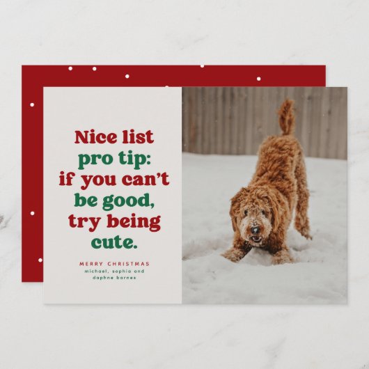 かわいいリスト 面白い かわいい 赤 緑 ペット 写真 クリスマス (正面/裏面)