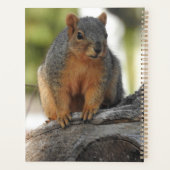 かわいいリスパーソナライズされたレル プランナー手帳 (裏面)