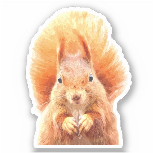 かわいいリスポートレート シール (正面)