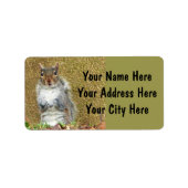 かわいいリス住所 シール (正面)