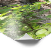 かわいいリス家族の春自然写真 フォトプリント (角)