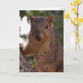 かわいいリス空白のル カード (黄色い花)