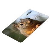 かわいいリス笑顔クローズアップ写真 マグネット (左側)