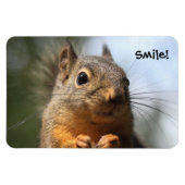 かわいいリス笑顔クローズアップ写真 マグネット (横)