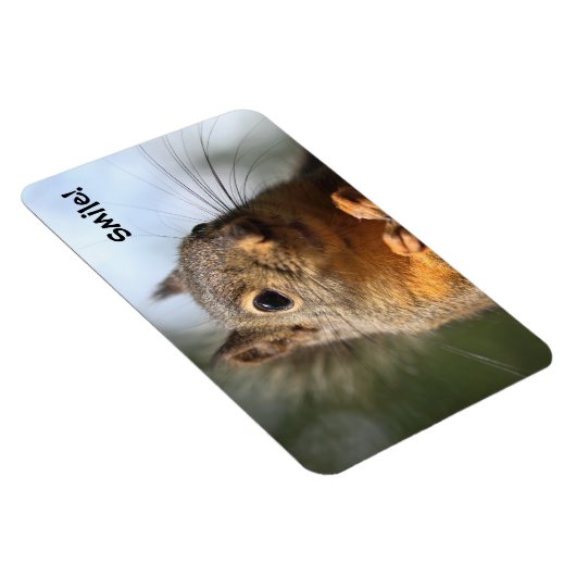 かわいいリス笑顔クローズアップ写真 マグネット (右側)