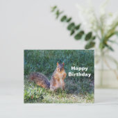 かわいいリス誕生日写真 ポストカード (スタンド正面)
